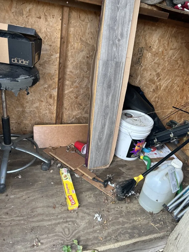 Affordable yard maintenance in Akron, OH - CODO Junk Removal & Property Services