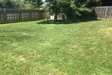 Affordable yard cleanup service in Omaha, NE by Cody Boys Lawns