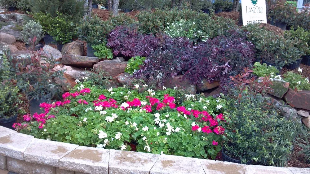 Top-rated residential landscaping experts serving Decatur, TX - Cody Irrigation Landscape & Lighting