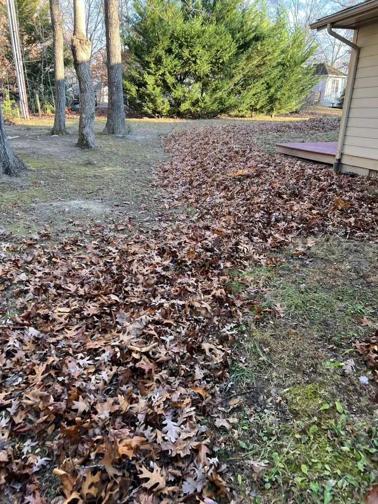 Affordable landscape installation for residential properties across Locust Grove, VA - Cody James Landscaping