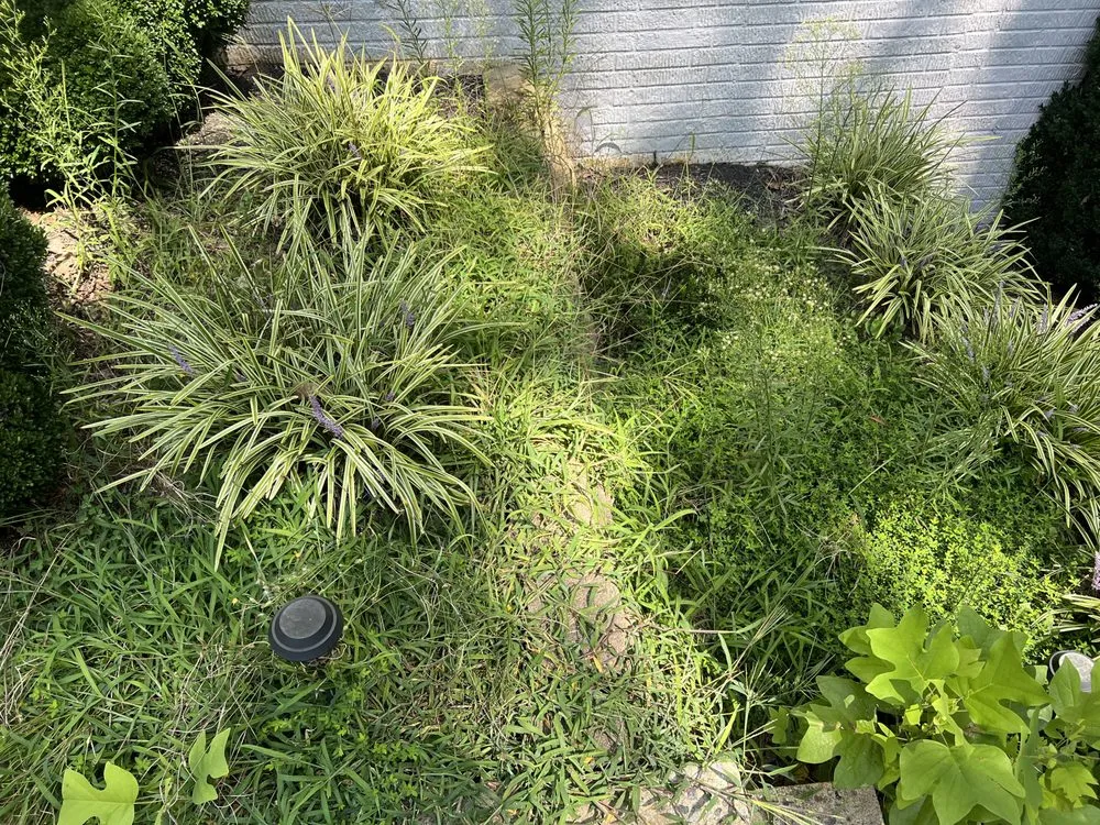 Professional outdoor landscaping experts serving Locust Grove, VA - Cody James Landscaping