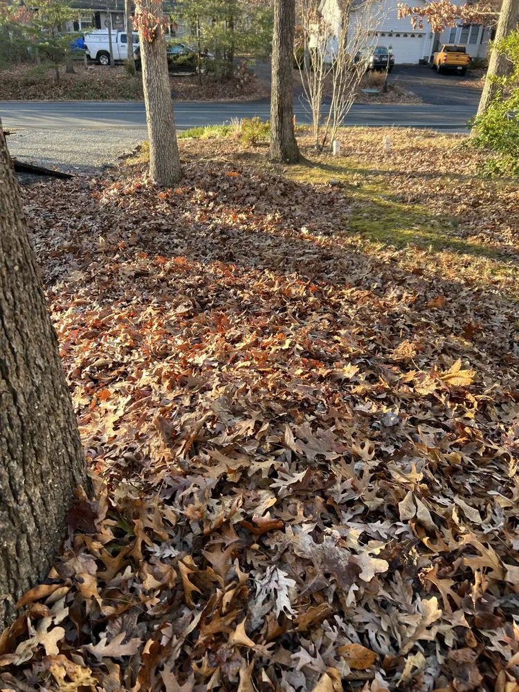 Reliable outdoor landscaping for outdoor upgrades across Locust Grove, VA - Cody James Landscaping