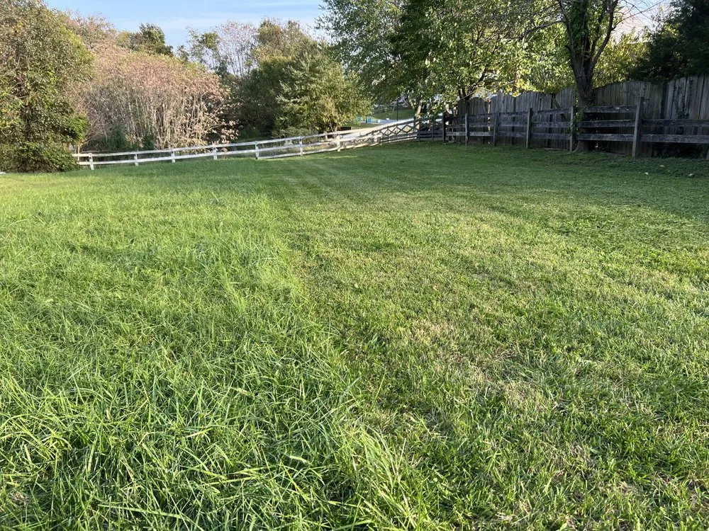 Affordable outdoor landscaping in Locust Grove, VA - Cody James Landscaping