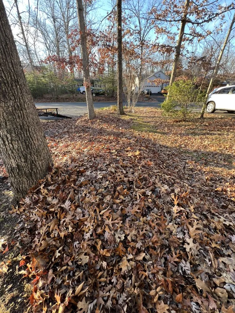 Professional landscape design for year-round maintenance across Locust Grove, VA - Cody James Landscaping