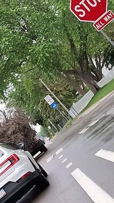 Cody Landscape and Tree Trimming