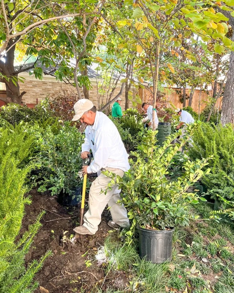 Custom garden landscaping in Fort Worth, TX by Cody Landscape