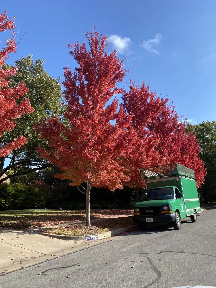 Custom landscape design in Fort Worth, TX - Cody Landscape