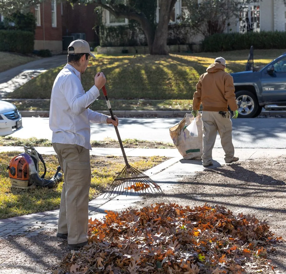 Professional garden landscaping in Fort Worth, TX - Cody Landscape