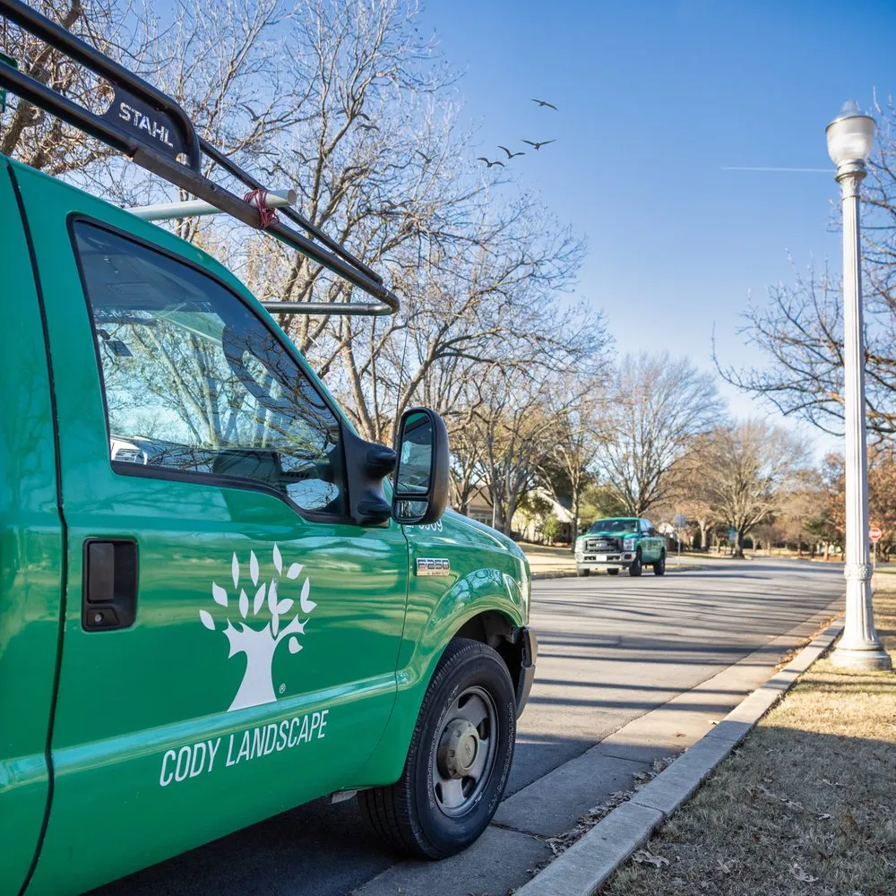 Top-rated yard maintenance experts serving Fort Worth, TX - Cody Landscape