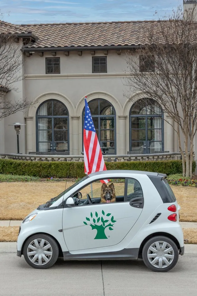 Affordable yard cleanup service near you across Fort Worth, TX - Cody Landscape