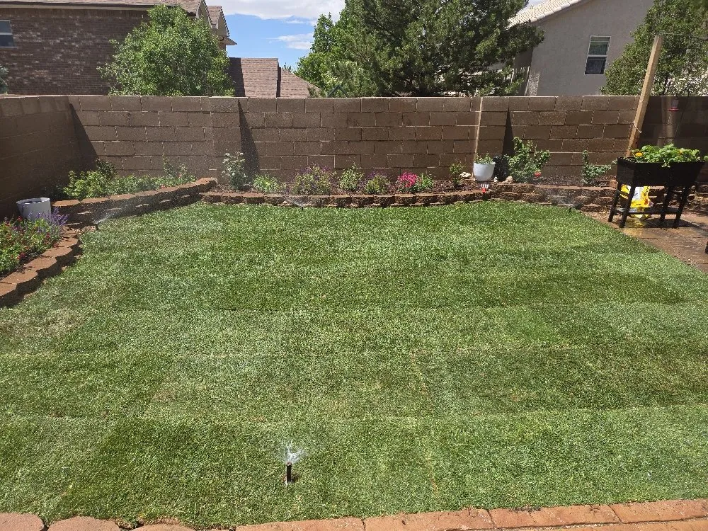 Trusted lawn mowing service experts serving Albuquerque, NM - Cody Landscaping