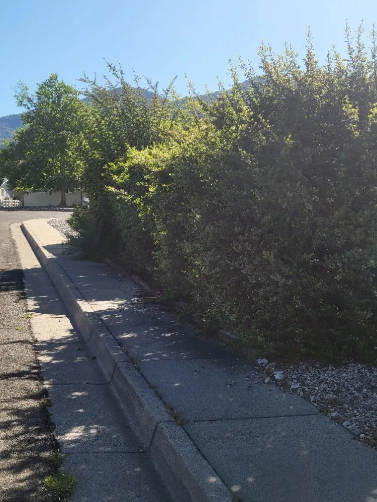 Reliable garden landscaping with custom design across Albuquerque, NM - Cody Landscaping