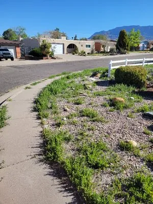 Cody Landscaping Logo