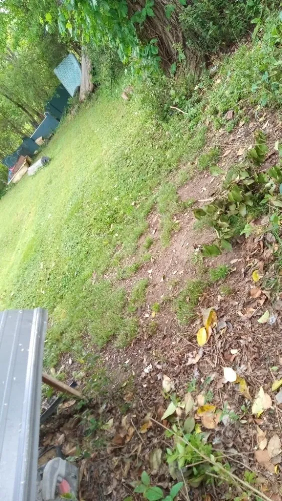 Reliable yard maintenance for outdoor upgrades in Kings Mountain, NC by Cody's Landscaping Service