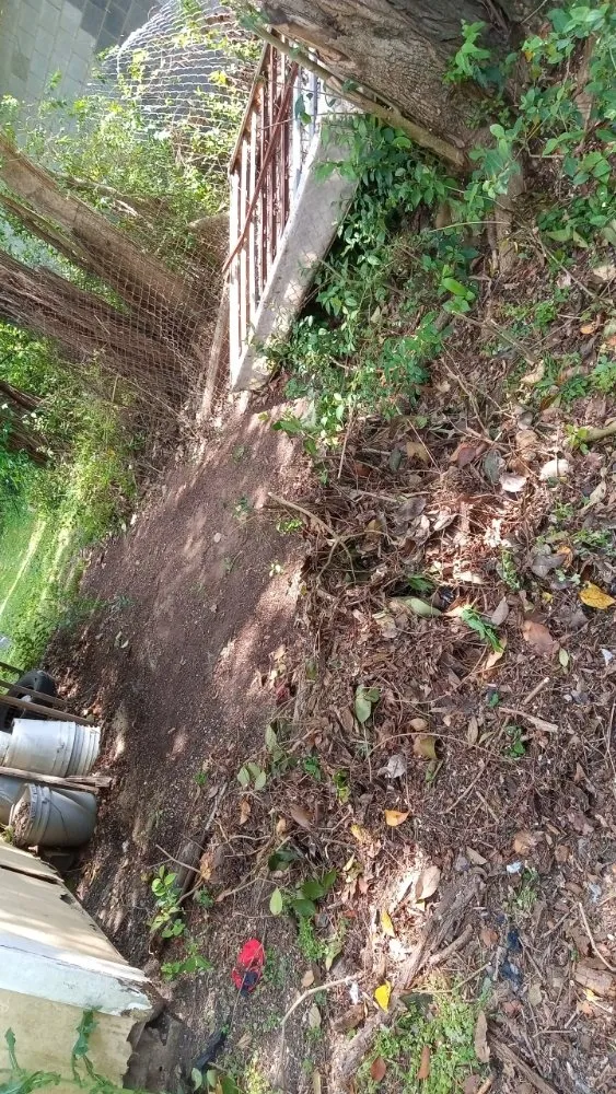 Trusted yard cleanup service experts serving Kings Mountain, NC - Cody's Landscaping Service