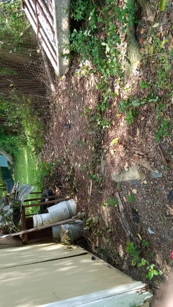 Top-rated residential landscaping experts serving Kings Mountain, NC - Cody's Landscaping Service