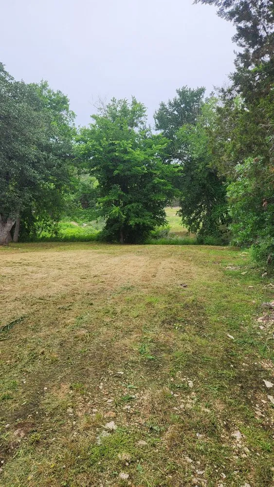 Expert yard cleanup service for year-round maintenance in Granbury, TX by Cody’s Lawncare