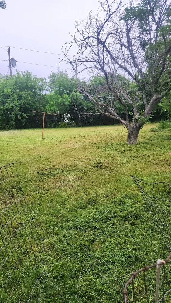 Expert yard maintenance in Granbury, TX - Cody’s Lawncare