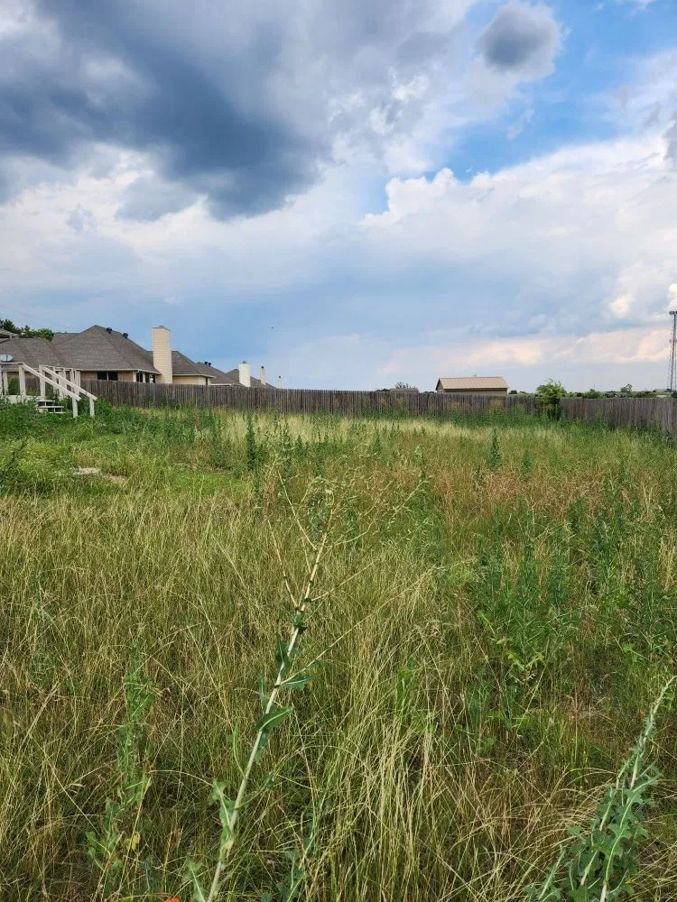 Professional yard cleanup service in Granbury, TX - Cody’s Lawncare