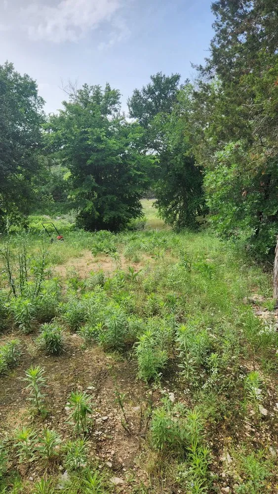 Custom residential landscaping near you in Granbury, TX by Cody’s Lawncare