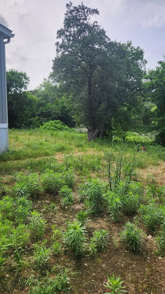 Affordable residential landscaping for year-round maintenance across Granbury, TX - Cody’s Lawncare