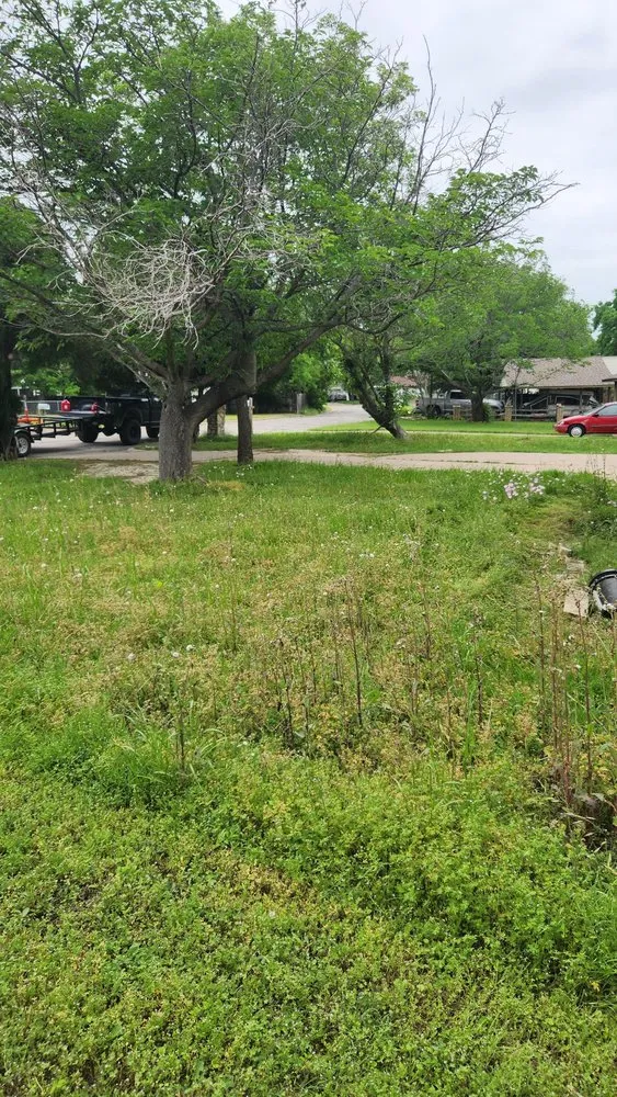 Top-rated landscape design near you in Granbury, TX by Cody’s Lawncare