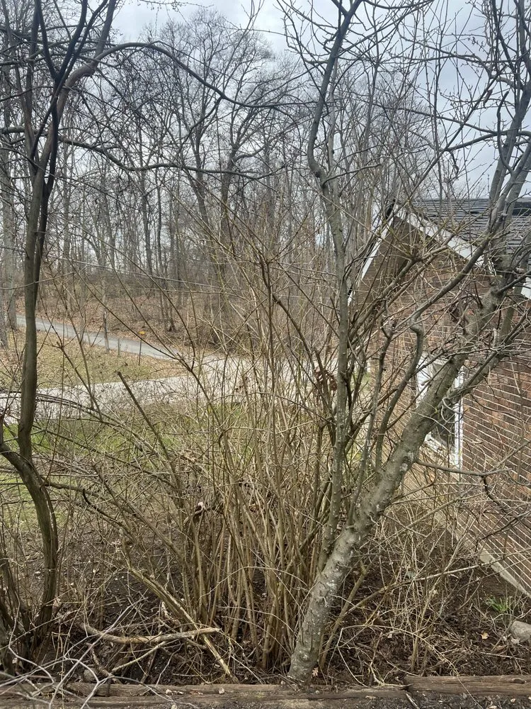 Custom lawn mowing service for outdoor upgrades in Coldwater, MI by Cody’s mowing and landscaping