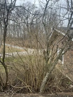 Cody’s mowing and landscaping