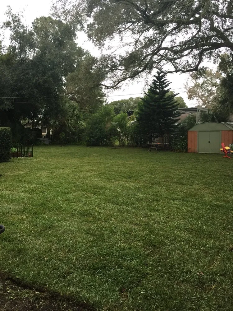 Top-rated yard cleanup service in Casselberry, FL - Codys Perfect Greens