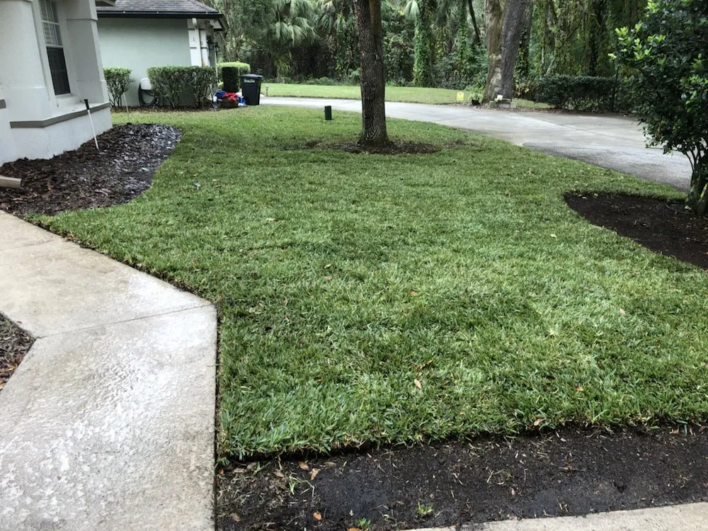 Affordable lawn mowing service in Casselberry, FL - Codys Perfect Greens