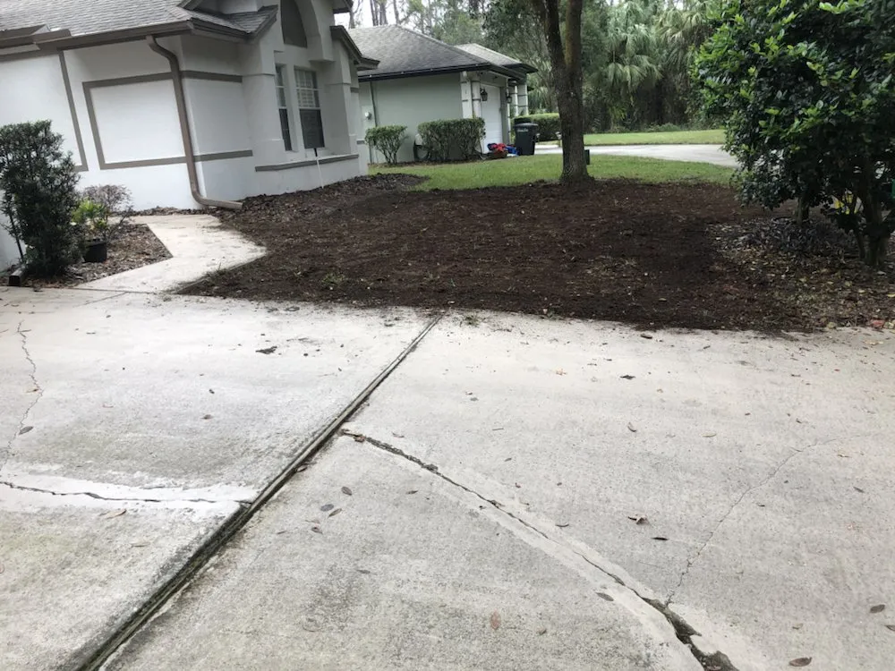 Top-rated residential landscaping in Casselberry, FL - Codys Perfect Greens