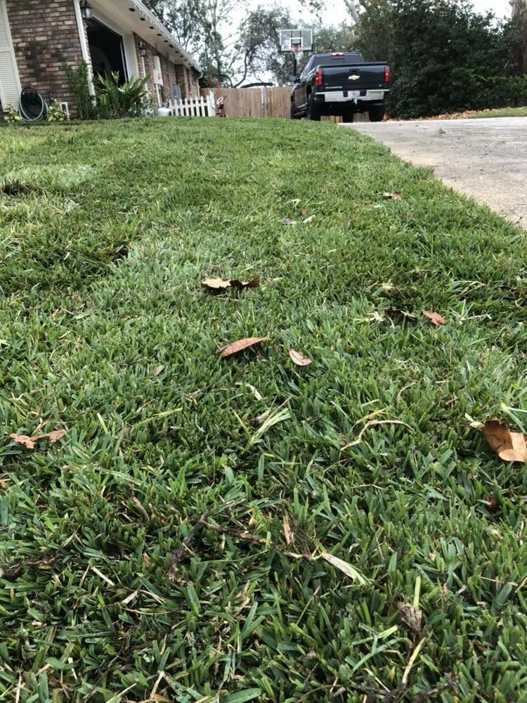 Top-rated lawn mowing service in Casselberry, FL - Codys Perfect Greens
