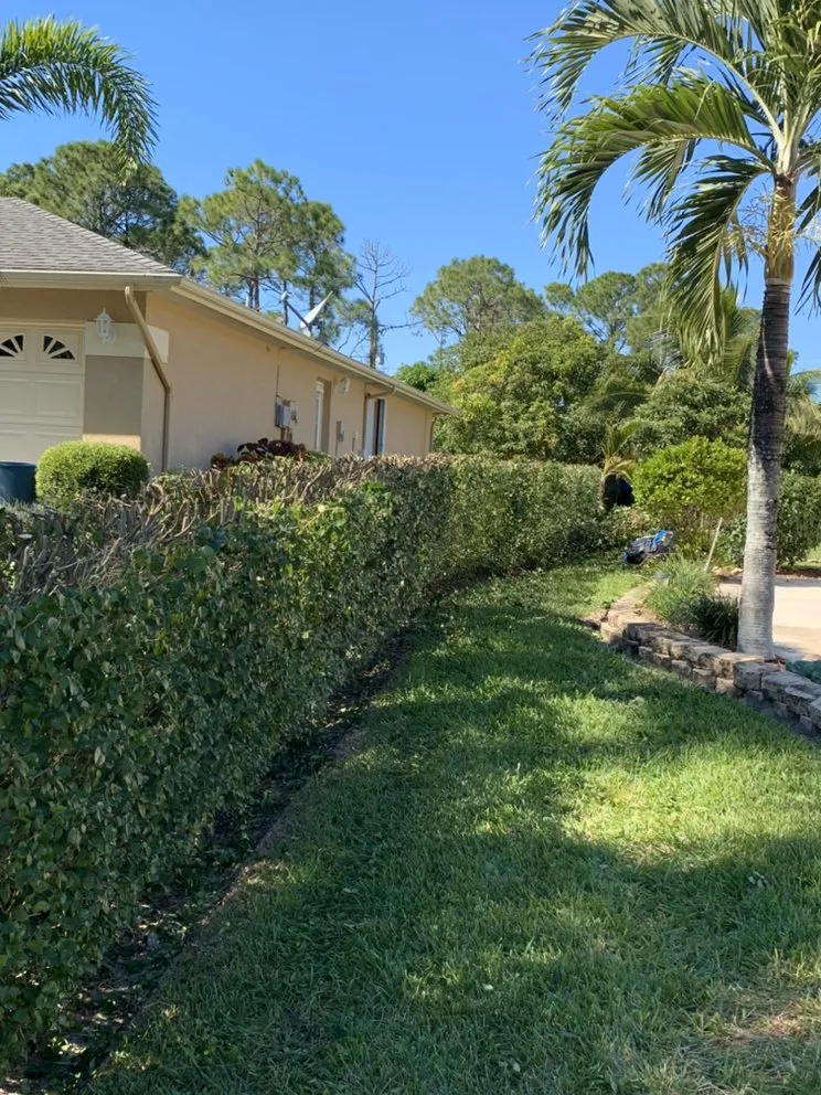 Affordable outdoor landscaping for outdoor upgrades in Port St. Lucie, FL by Codys Quility Cuts
