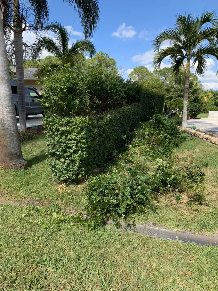 Trusted yard maintenance in Port St. Lucie, FL by Codys Quility Cuts