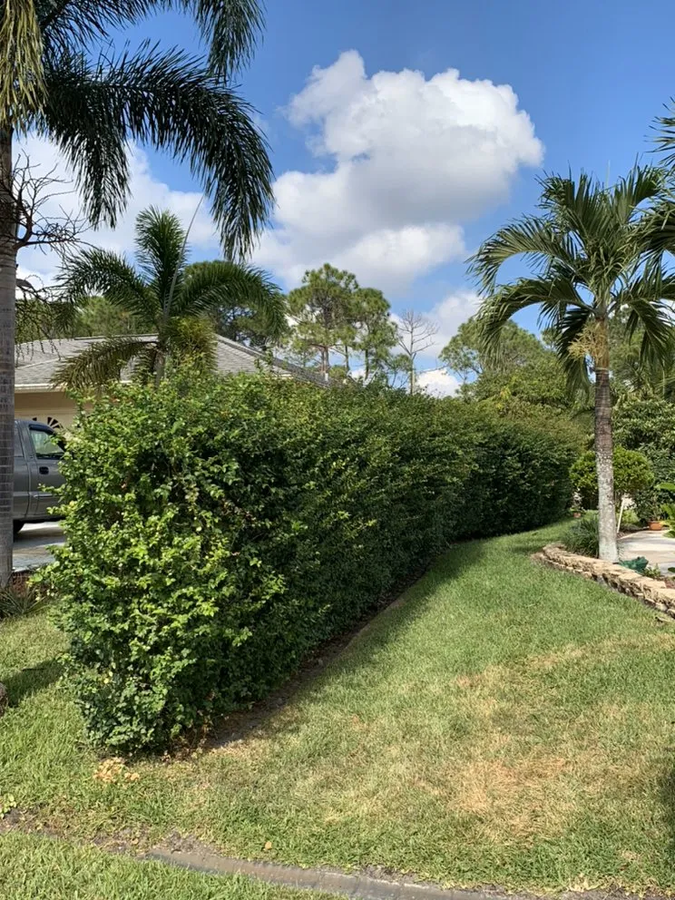 Top-rated lawn mowing service experts serving Port St. Lucie, FL - Codys Quility Cuts