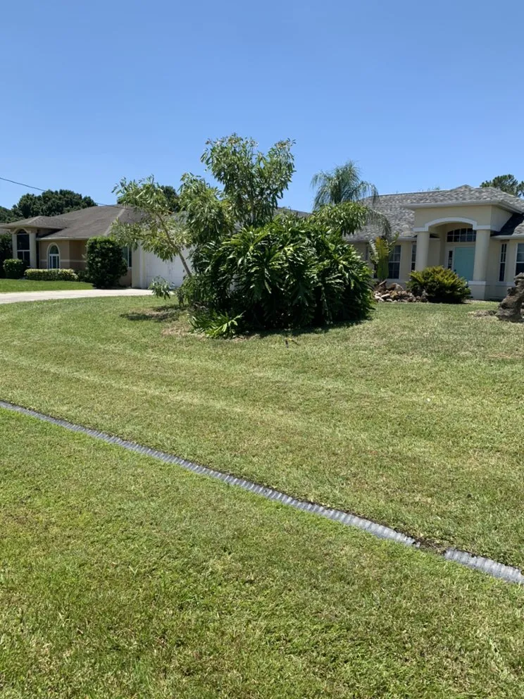 Top-rated yard maintenance near you across Port St. Lucie, FL - Codys Quility Cuts