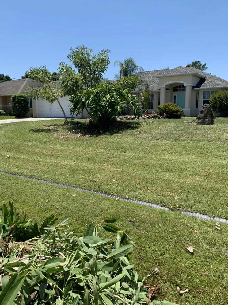 Expert lawn care service for year-round maintenance in Port St. Lucie, FL by Codys Quility Cuts