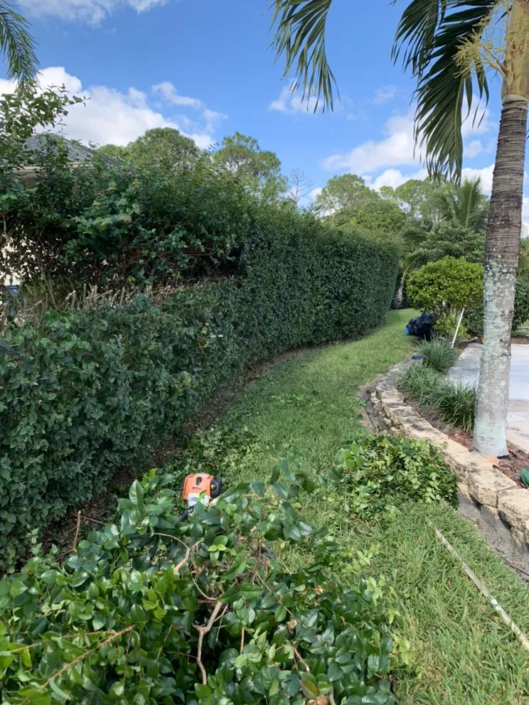 Custom landscape installation for homes in Port St. Lucie, FL by Codys Quility Cuts