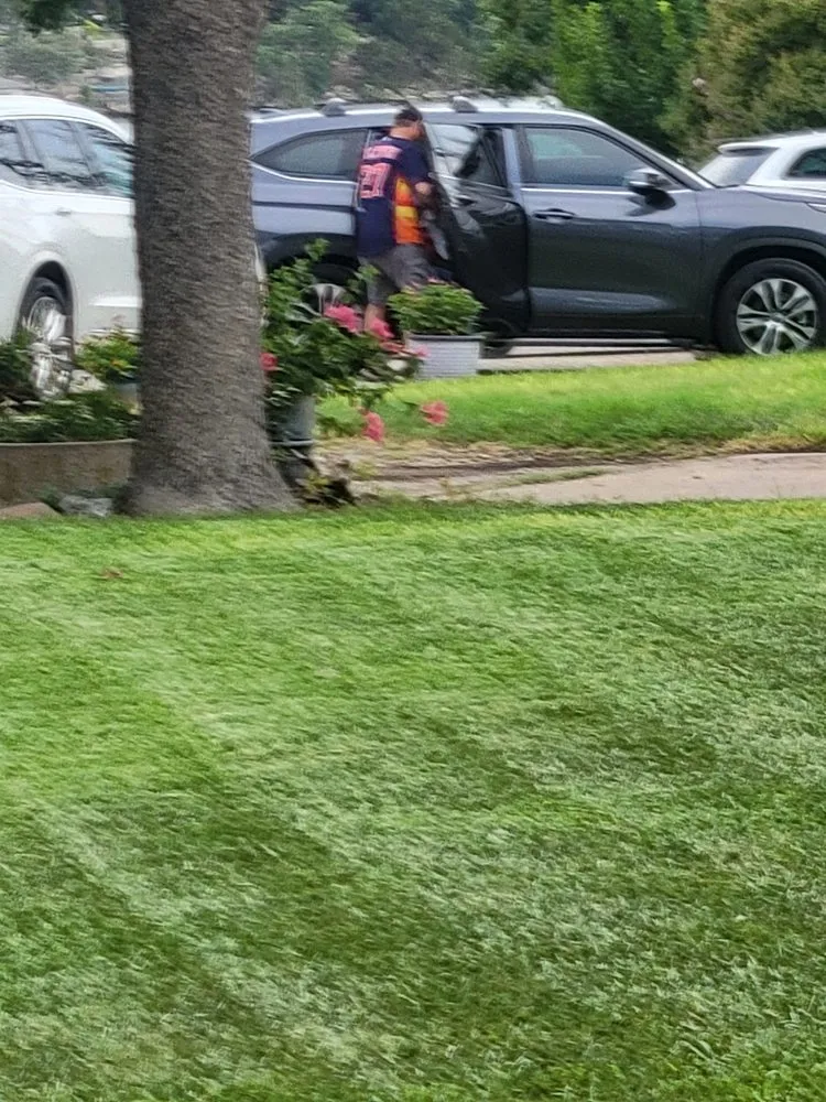 Top-rated landscape design in Granbury, TX - Cody's Residential Lawn Care