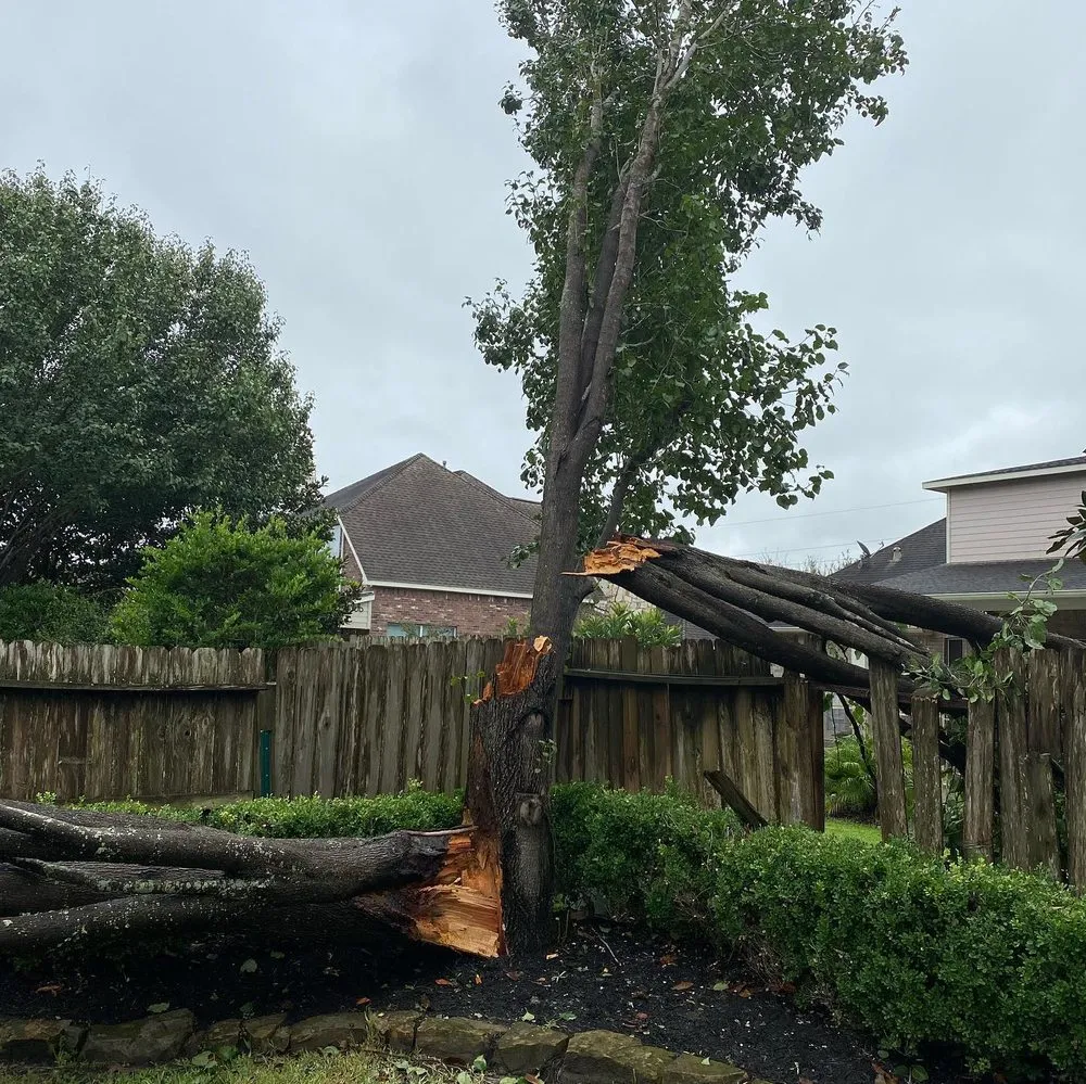 Expert lawn mowing service in Katy, TX - Cody's Tree Services