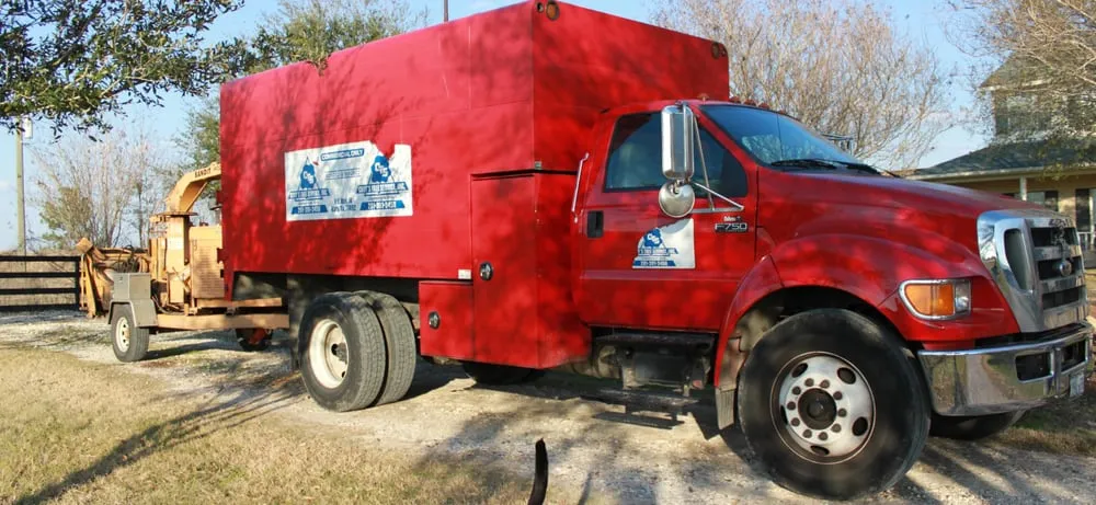 Expert yard cleanup service experts serving Katy, TX - Cody's Tree Services