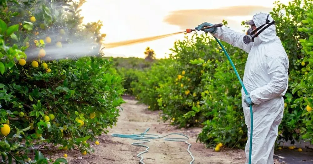 Affordable lawn care service near you in Katy, TX by Cody's Tree Services