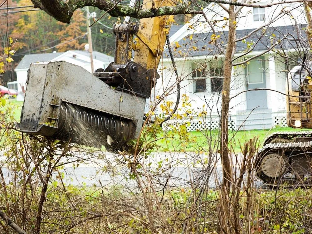 Reliable landscaping services in Katy, TX by Cody's Tree Services