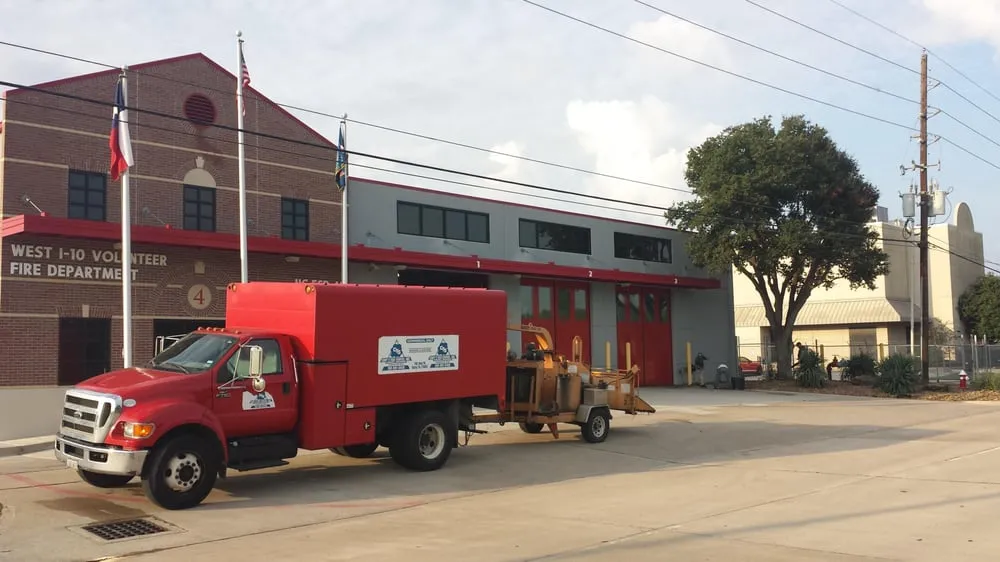 Trusted yard cleanup service in Katy, TX - Cody's Tree Services
