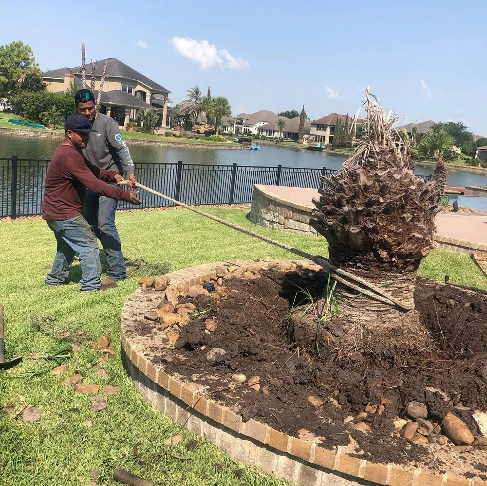 Professional lawn mowing service in Katy, TX by Cody's Tree Services