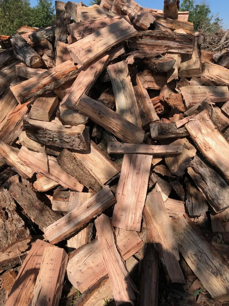 Affordable landscape design for year-round maintenance in Katy, TX by Cody's Tree Services