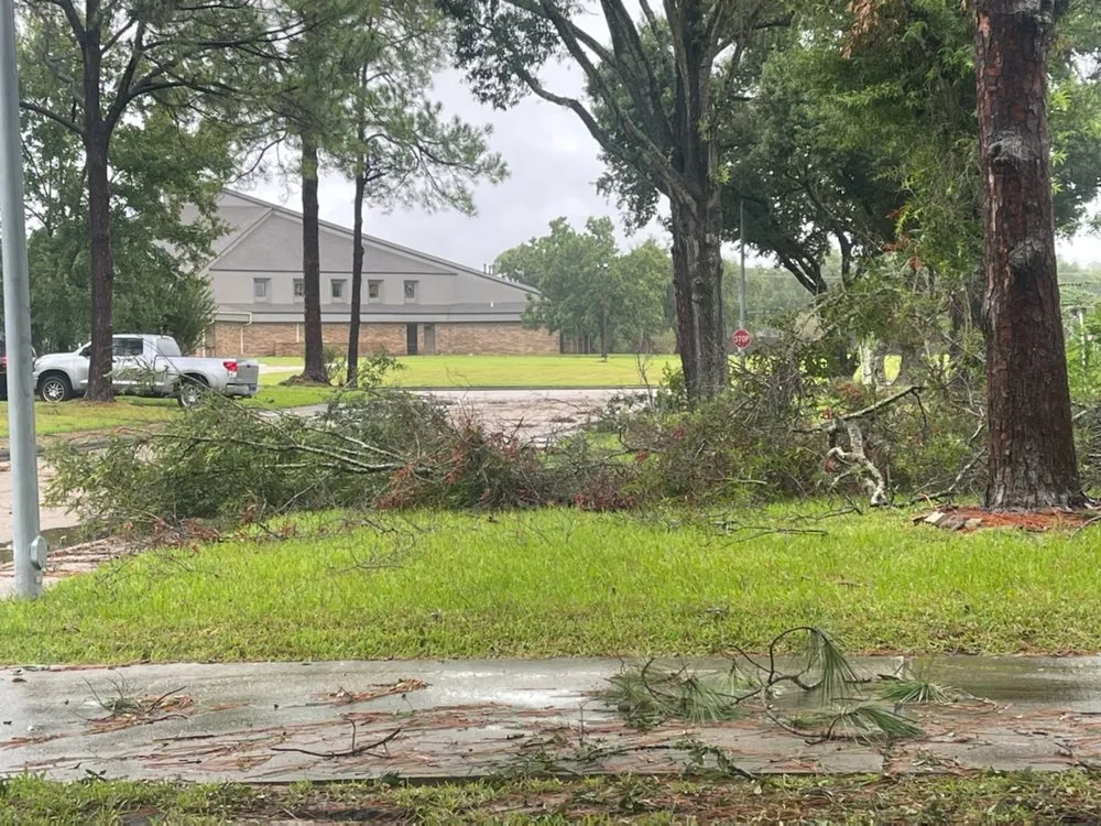 Professional garden landscaping in Katy, TX by Cody's Tree Services