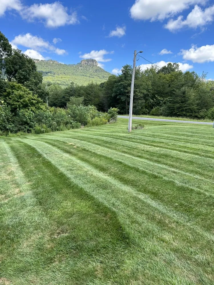 Top-rated landscaping services experts serving Mount Airy, NC - Coe Cutters