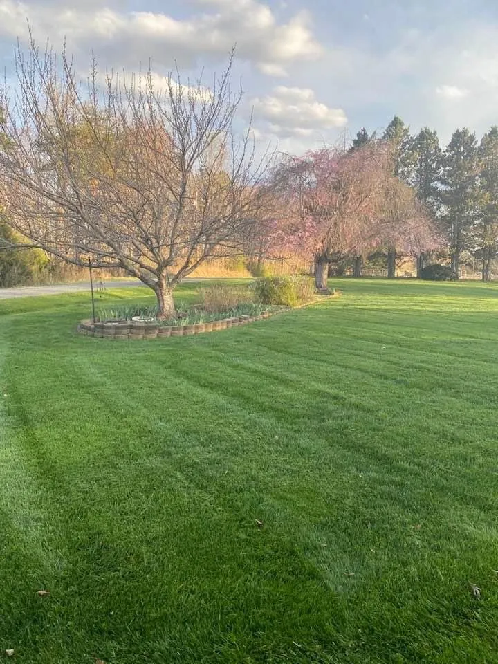 Trusted lawn mowing service for outdoor upgrades in Mount Airy, NC by Coe Cutters