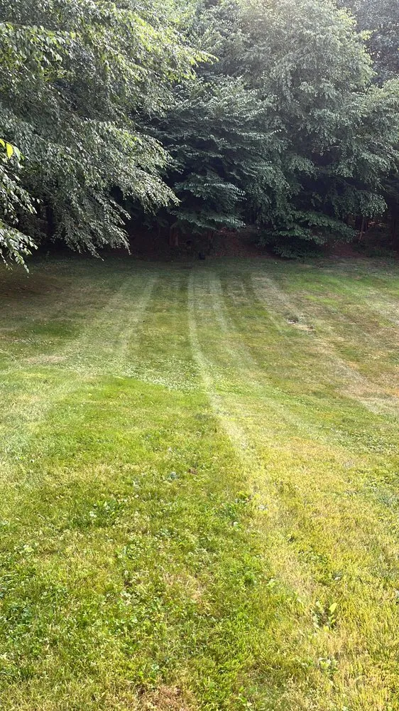 Affordable landscaping services experts serving Marshfield, MA - Coelho Landscaping